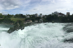 20190615_075136309_iOS