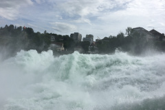 20190615_075625606_iOS