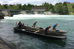 20190615_094217037_iOS