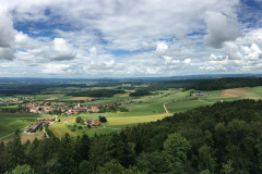 20190616_130717871_iOS