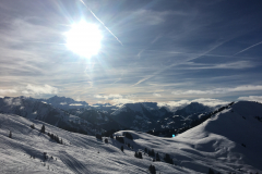 20190126_140839588_iOS